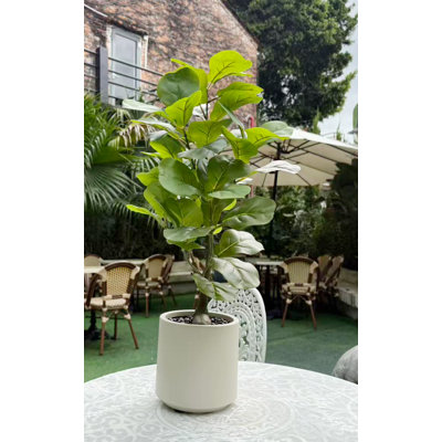Figuier figuier artificiel 25 pouces - plante en plastique artificiel en pot de ciment blanc, faux arbre d'intérieur réaliste pour la décoration de bureau à domicile, plante d'intérieur sans entretien