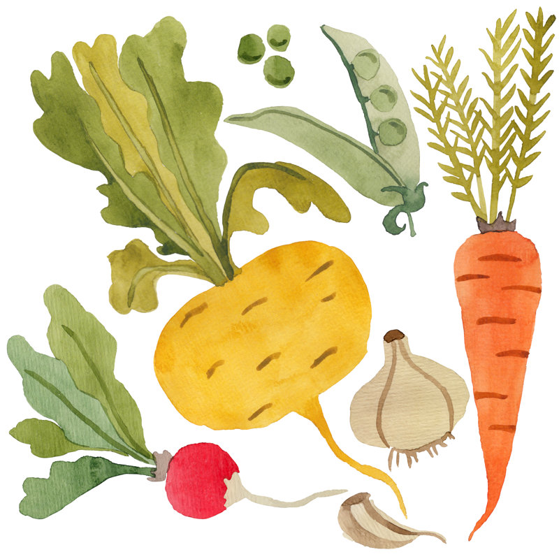 Vegetables Watercolor - Wrapped Canvas Print, 122cm H x 122cm W x 3.8cm