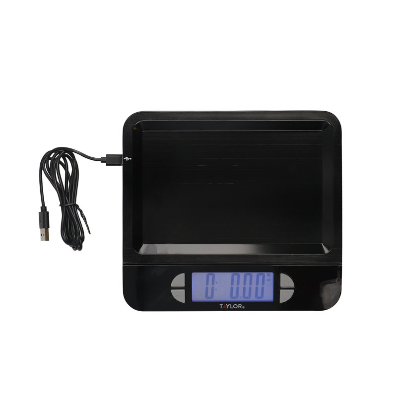 Taylor Pro Digital Scale