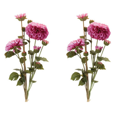 Ensemble de fleurs Zinnia (ensemble de 2)