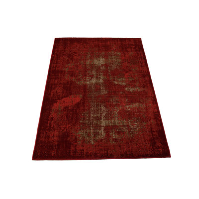 Bourail Abstract Area Rug