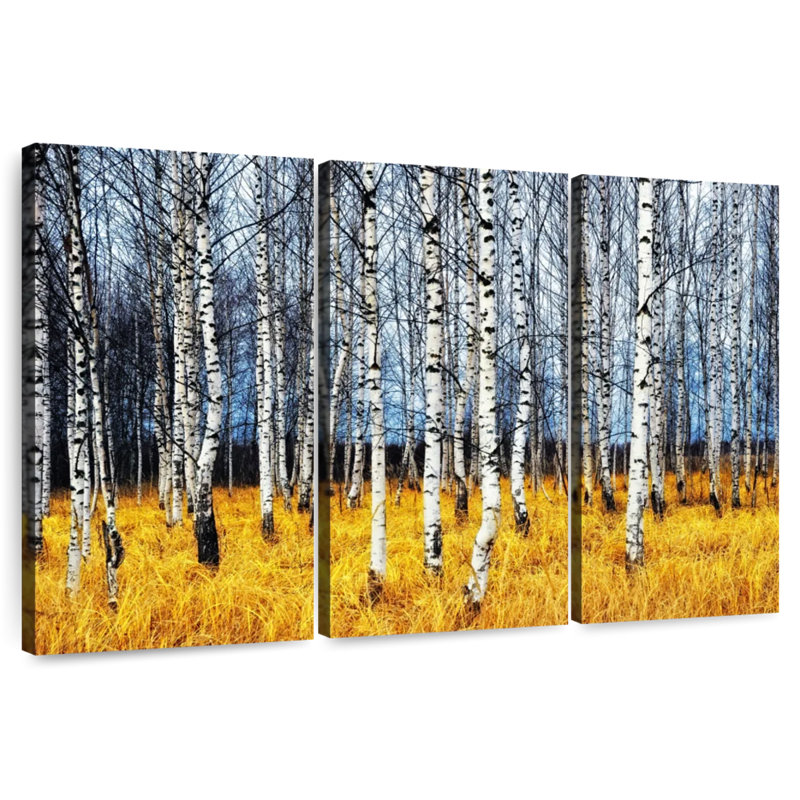 Harnek Birch Trees In Fall, 42" H x 65" W
