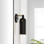 Caniah Single Light Iron Dimmable Armed Sconce-773019661