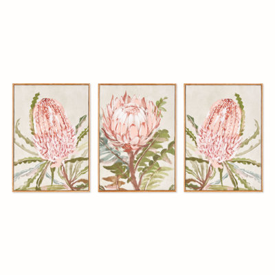 Giclées Queen Protea, ensemble de 3