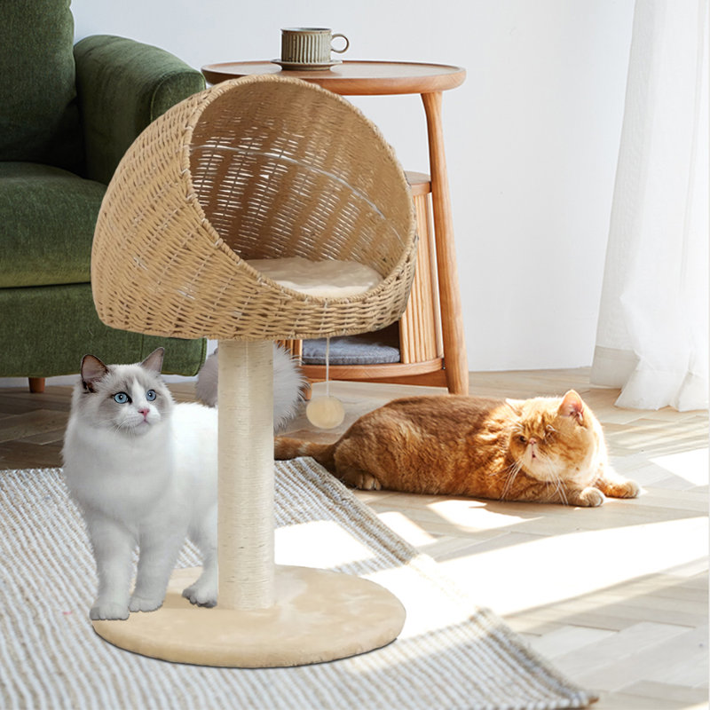 Maison pour chat Eleonoro