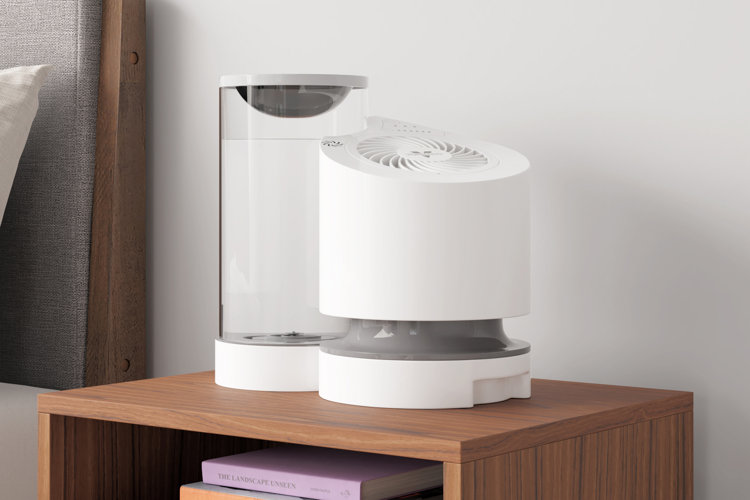 Small size humidifier on a table next to houseplants.