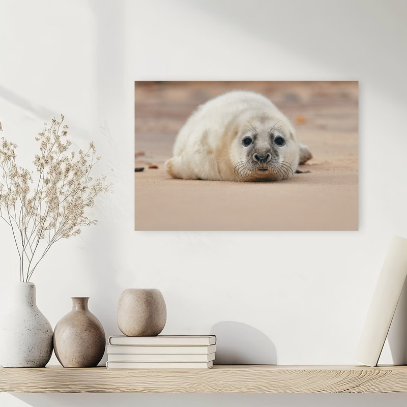 Adorable Seal Pup Contemporary Animal Beach Wall Art Print 1 Piece Wrapped Canvas Wall Art, 30.48cm H x 45.72cm W