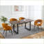 Table basse moderne en noyer avec pieds en métal - peu encombrante et facile à nettoyer pour le salon