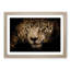 Jaguar Stalking Prey - Wall Art-55609830-55609831