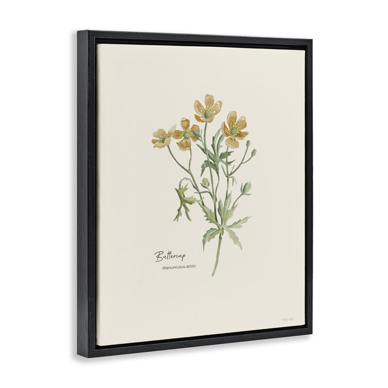 «Simple Buttercup Flowers» par Cindy Jacobs, Cadre flottant noir de jais, H 21 po x l 17 po