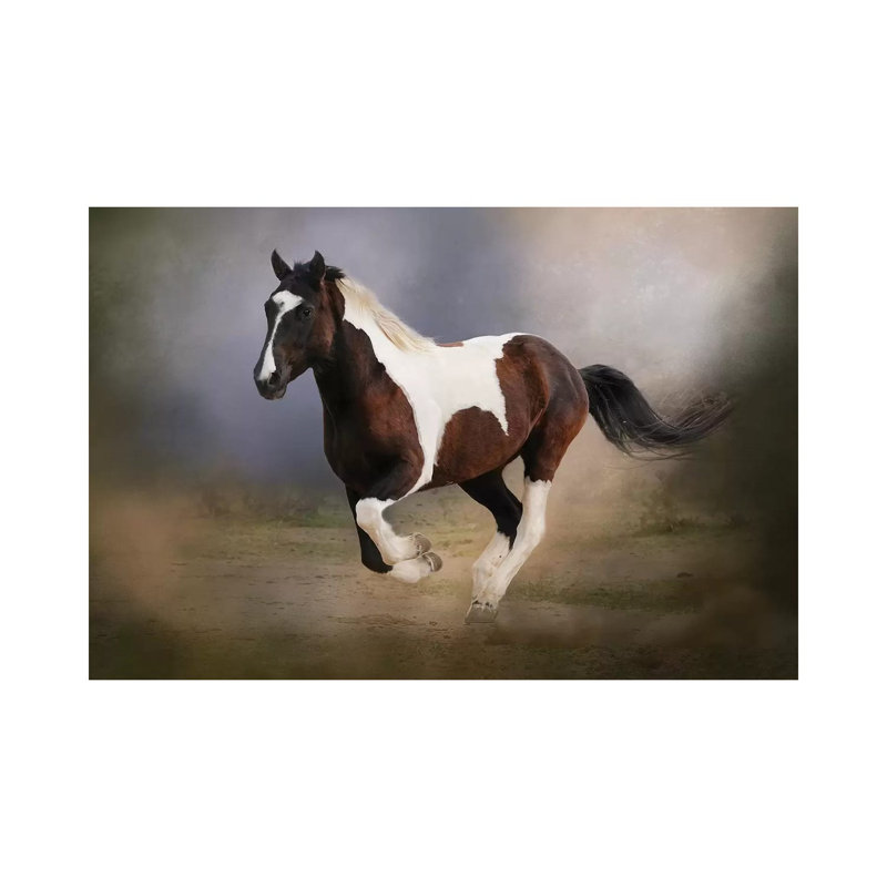 «A Run Through The Mist» par Rhonda Thompson - impression sur toile tendue, H 18 po x l 26 po x P 1,5 po