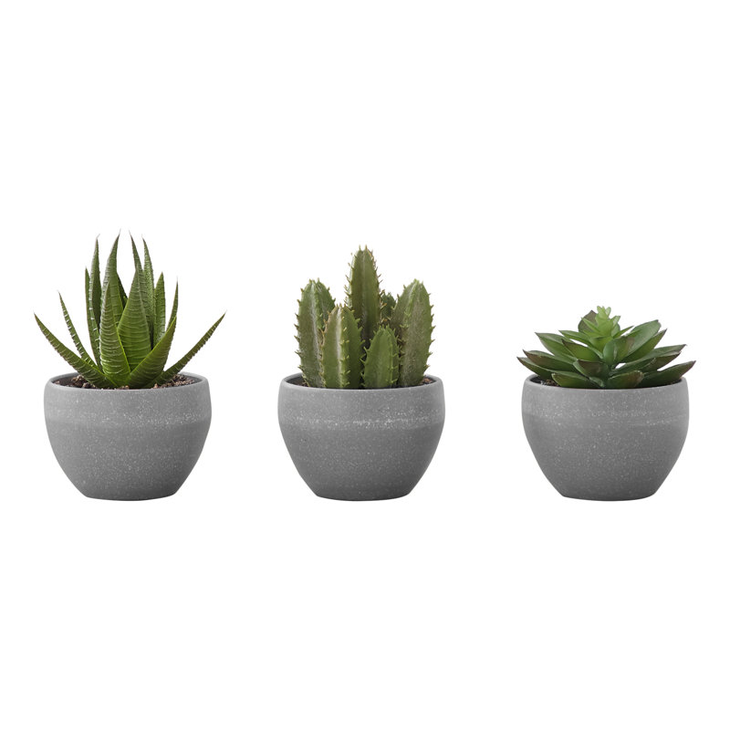 Plante artificielle, Gris