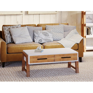 Trinity Solid Wood Legs Coffee Table with Storage