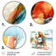 Fauteuil Macaw perroquet sur une plage - ensemble d'art mural animaux côtiers-901637561-901637565