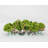 Hydrangea Arrangement in Planter-825524696-825524697