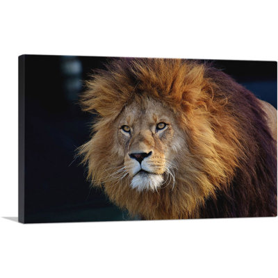 Lion Home Decor - reproduction de photo sur toile tendue