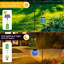 Ericka Solar Powered Outdoor Lantern