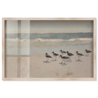 Mouettes à la plage II