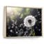 White Black Dandelion Whispers III - Floral Wall Art Living Room-811005093-811005100