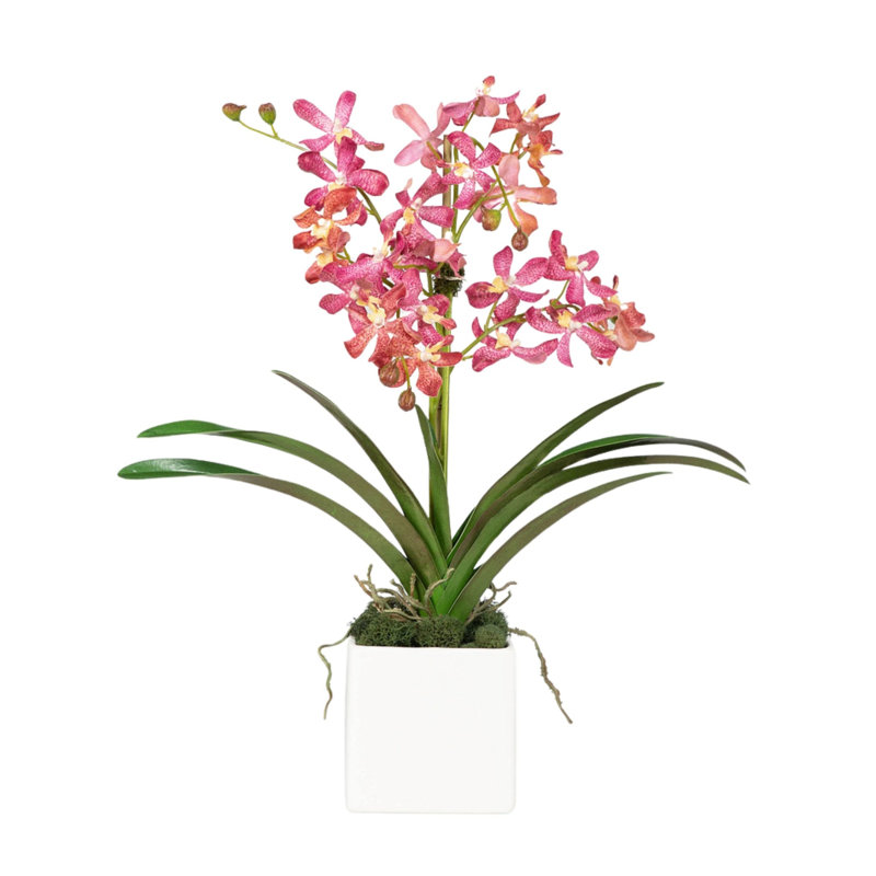 Faux Orchid Plant In White Vase, White, Pink