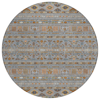 Machine Washable Indoor/Outdoor Brenden ACN2244 Navajo Rug