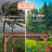 Ensemble de pergola d'extérieur en bois de cèdre 16 pi x 12 pi avec toit en treillis et PowerPort Backyard Discovery Beaumont