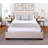 Wayde Upholstered Storage Bed-1955844544-1959751815