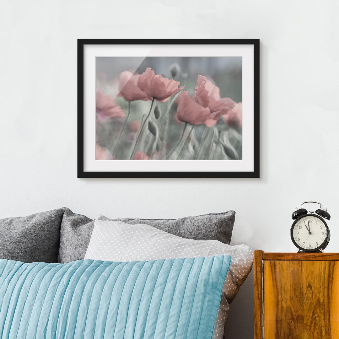 Gerahmtes Wandbild Picturesque Poppies