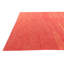 Tapis rouge Noe