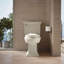 Transitions® Quiet-Close with Grip-Tight Elongated Toilet Seat-736545555-784430654