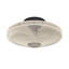 Eitan Flush Mount
