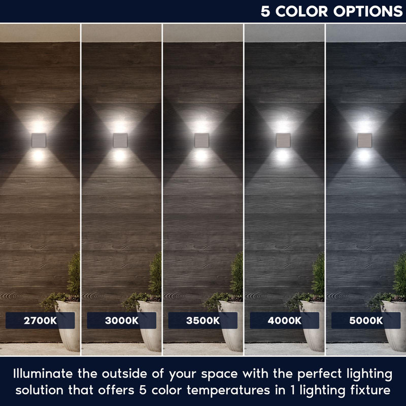LED Wall Light