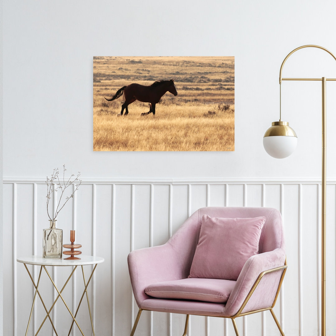 The Wild Spirit Dramatic Abstract Contemporary Horse Landscape Nature Wall Art Print