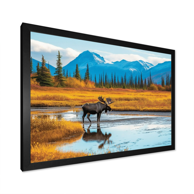 Orignal dans un paysage de l'Alaska II, H 34 po x l 44 po x P 1,5 po, Cadre photo noir