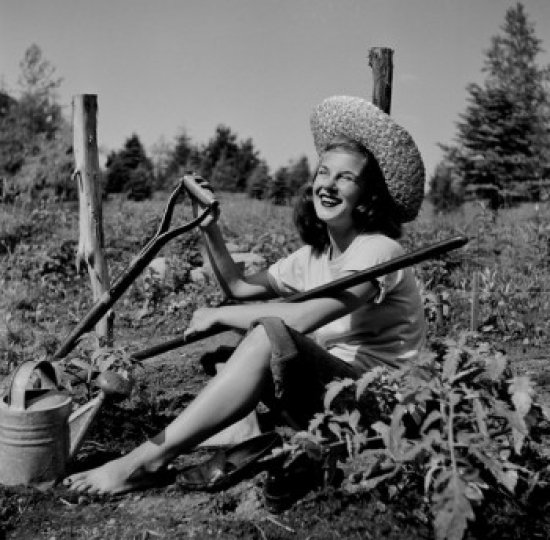 «Young Woman Resting In Farm Field», reproduction d'affiche (24 x 36)