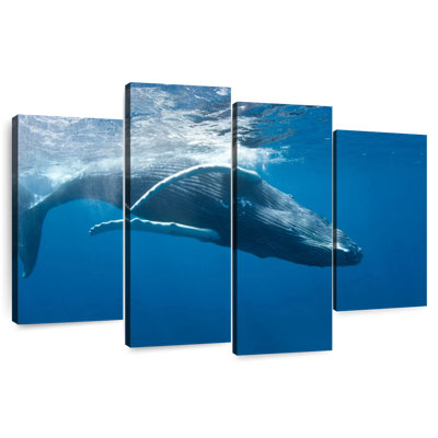 Brampt Humpback Whale