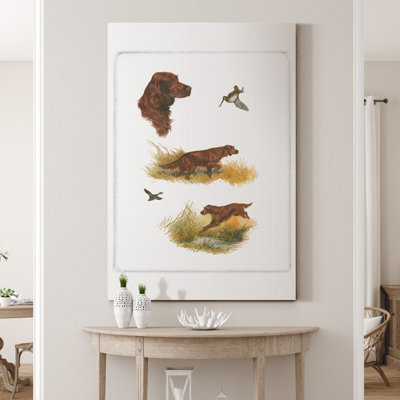 « Irish setter », reproduction d’art sur toile tendue