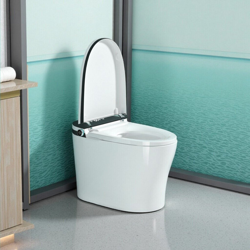 Smart One-Piece Toilet With Bidet, Heated Seat, Auto Open/Close & Led Display, White+Black