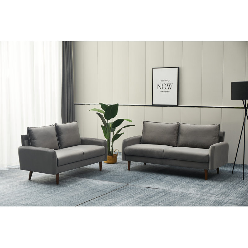 Ensemble de salon en velours 2 pièces Emteas, Gris