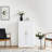 Multi-Functional Storage Cabinet with Adjustable Shelf