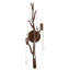 Morning Grove Wall Sconce-670022344