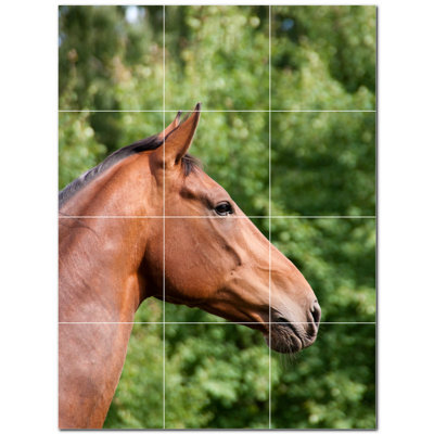 Murale en céramique satinée Horse Photo 6 po x 6 po