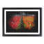 Field of Tulips - Picture Frame Graphic Art-62801772-62801787