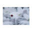 Art sur toile, bolle, Edy Pamungkas-109226597