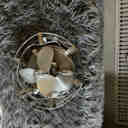 Trent Austin Design® Rakestraw 12.2'' Flush Mount Caged Ceiling Fan ...