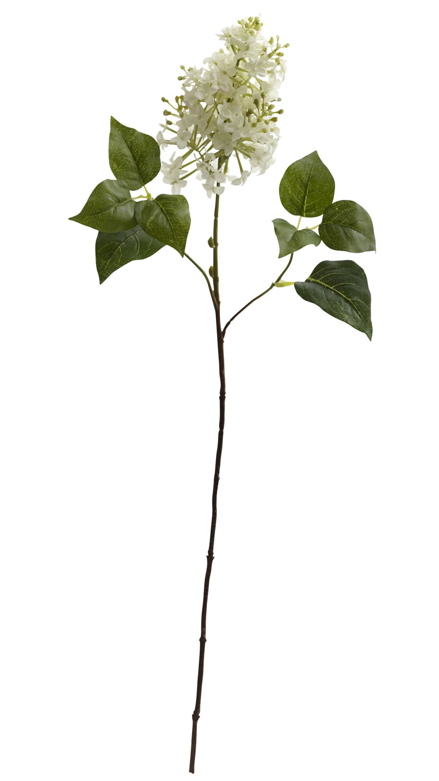 Lilac Floral Stems, White
