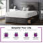Hayder Upholstered Bed-1123518477-1123518456-1156754426