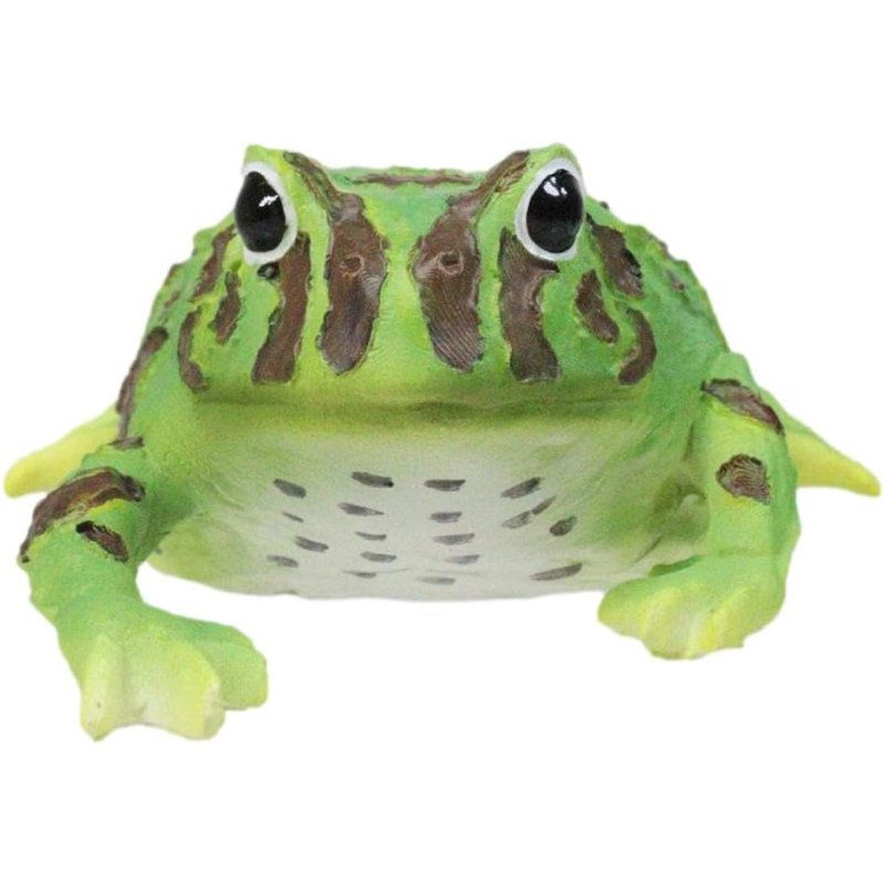 Figurine réaliste grenouille verte Amphibian Clamitans