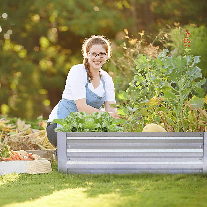 Plant Stand