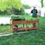 Raised Garden Bed-1159549633